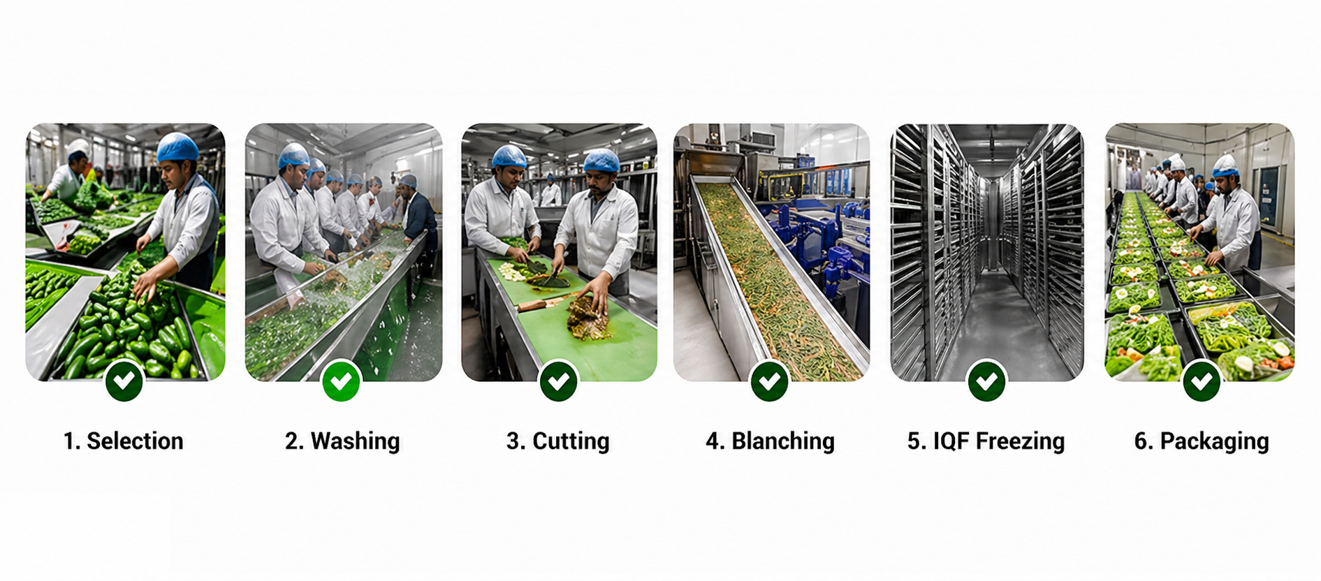 Our Processing Facility